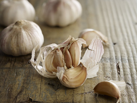 Garlic