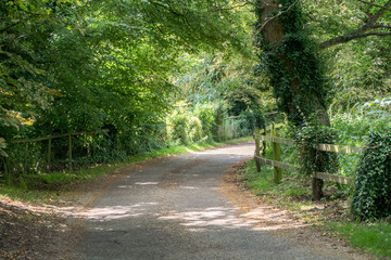 Pathway HDR