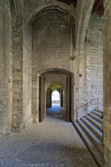 Fototapeta na wymiar Palace of the Popes of Avignon - Camargue - Provence - France