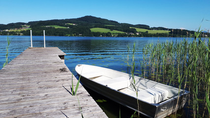 Obertrumersee, Obertrum, See, Sommer, Schwimmen