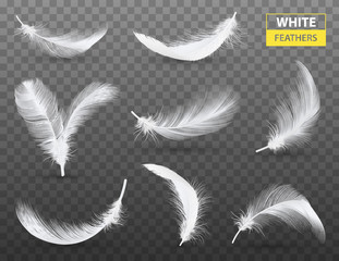 White Feathers Transparent Set