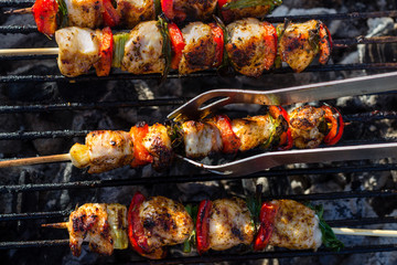 Close up pf delicious chicken breast on wooden skew with fresh vegetables, garlic, paprika fried on mangal barbeque grill