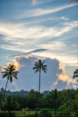 clouds and palm trees hanalei bay kauai hawaii