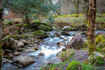 Glendalough, Wicklow Mountains, Wicklow, Ireland