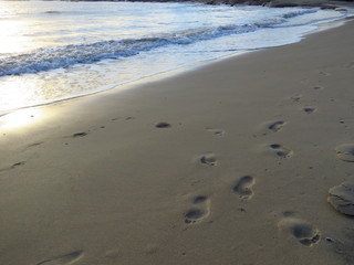 huellas en la playa 2