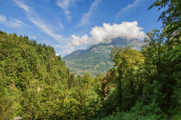 Forest with alpine mountains landscape in the background blue sky and clouds in Saint-Gervais-Les-Bains. A famous ski resort located in Haute-Savoie Province, near the Mont Blanc in the French Alps.