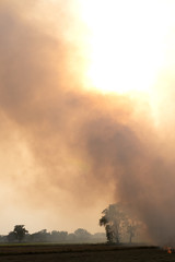 Obraz premium Many smoke from burning stubble.