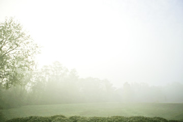 Obraz premium Fog Content Image