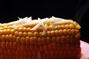 Zea mays Maíz Maize Mais Եգիպտացորեն نبات  cotto ذرة cooked Кукуруза...