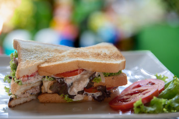 Sandwich Tuna Breakfast with natural light