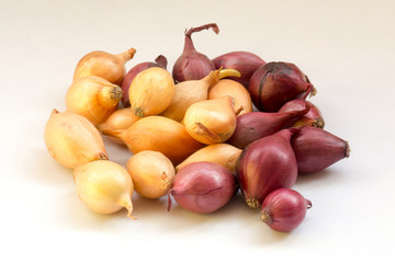 small bulbs of red and yellow color.