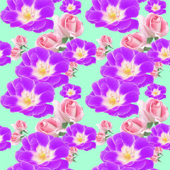 Obraz na płótnie Canvas Rose, rose flowe. Seamless pattern texture of flowers. Floral background, photo collage