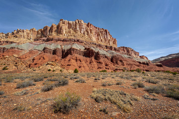 Fototapeta premium Capitol Reef National Park. Located in south-central Utah in the heart of red rock country, this is a hidden treasure filled with cliffs, canyons, domes and bridges in the Waterpocket Fold.