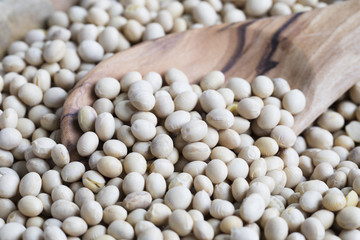 Wooden Spoon with Soybeans