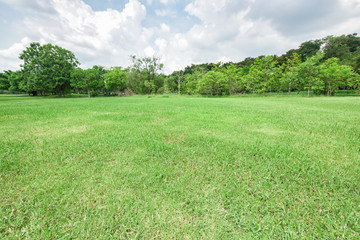 Green grass field in park at city center