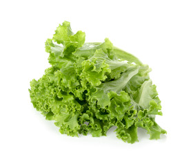 Salad leaf. Lettuce isolated on white background.