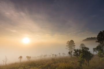 Beautiful sunrise with foggy environment