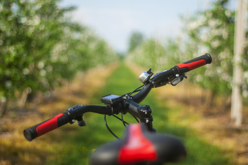 Fototapeta na wymiar A bicycle on a background of flowering trees in the garden. A mountain bike handlebar with a speedometer and a bell with bicycle hand brake