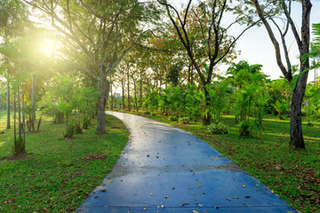 Trees and walkway on green grass field in the park at morning.