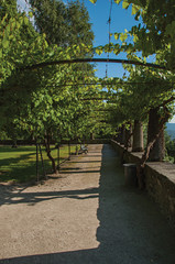 Pathway and flowery garden in the medieval village of Conflans. An historical hamlet near Albertville. Located at the department of Haute-Savoie, southeastern France.