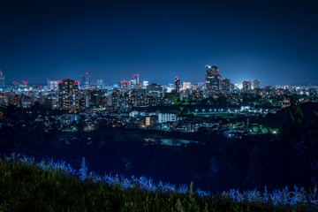 Fototapeta na wymiar 仙台城跡から見る街の夜景