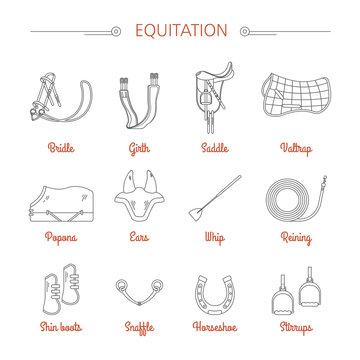 Equitation equestrian sport equipment vector icons