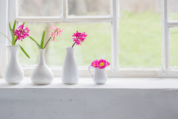 spring flowers on windowsill