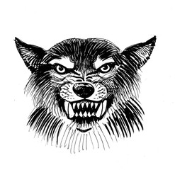 Angry wolf head. Ink black and white illustration