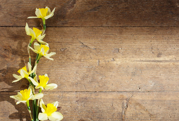 yellow narcissus on old wooden background