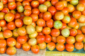 Close up tomatoes