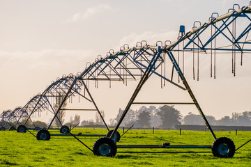 Agriculture modern irrigation. watering spray machine set on the green grassland field with blue sky and warm light scene.