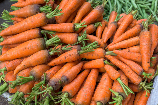 Close up carrots
