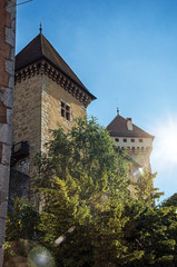 Back wall of the Annecy castle with plants covering the stones in Annecy. An historical and lovely lakeside town located at the department of Haute-Savoie, southeastern France. Retouched photo