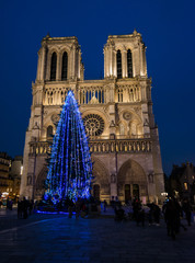 Notre Dame Paris, twilight