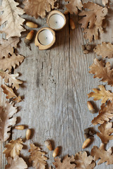 Autumn oak leaves on old wood background