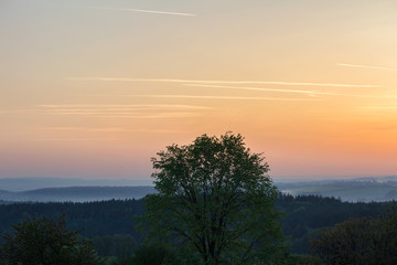Fototapeta na wymiar Tree and distant hill in sunrise. Czech landscape