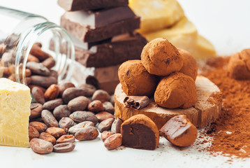 homemade truffle with ingredients