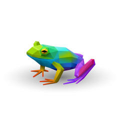 Colorful low poly frog, logo element, eps10 vector