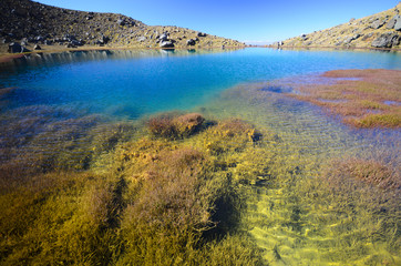 Fototapeta premium View over Emerald lake, Tongariro Crossing (New Zealand)