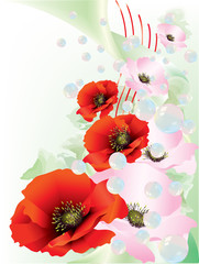 Colorful poppies with bright colored background