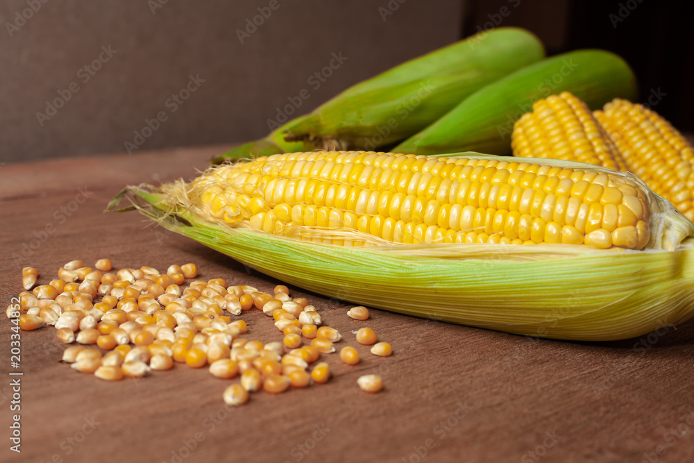 Wall mural organic fresh corncobs or corn ears on wood background ,food