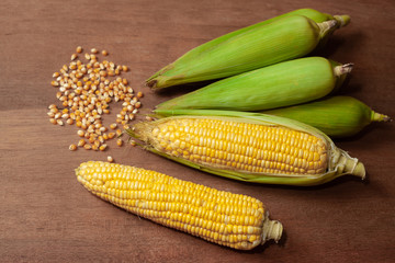 Organic fresh Corncobs or corn ears on wood background ,food