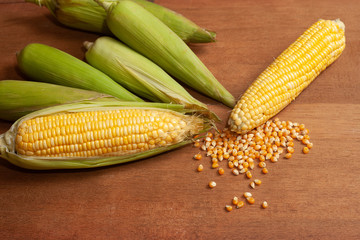 Organic fresh Corncobs or corn ears on wood background ,food