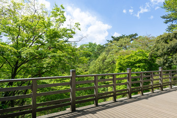 森の中の日本的なバルコニー