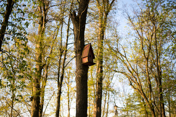 The bird house is attached to a tree