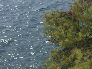 View of the sea. The coast of Greece