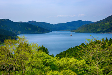 Fototapeta na wymiar 新緑の芦ノ湖