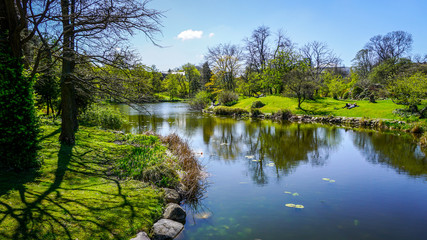 Fototapeta na wymiar Still, reflective pond in Copenhagen botanical gardens, Denmark