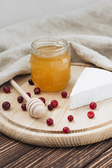 Cranberries, honey dipper, delicious cheese piece and honey on wooden board