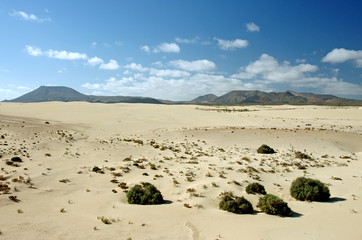 Desert of Fuerteventura in area Corallejo